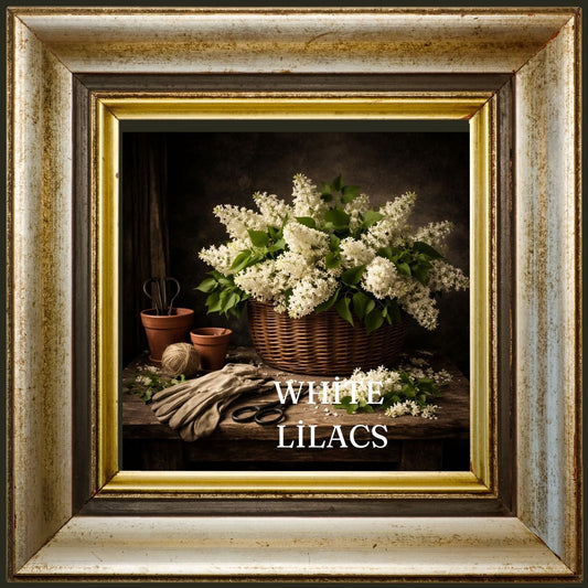 White Lilac Harvest Still Life